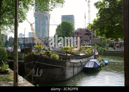Casa galleggiante nel vecchio porto di Rotterdam Foto Stock