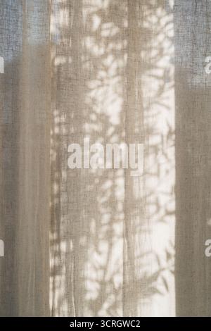 Ombre floreali alla luce del sole su tende in lino beige neutro, sfondo naturale dal design minimalista con spazio per le copie Foto Stock