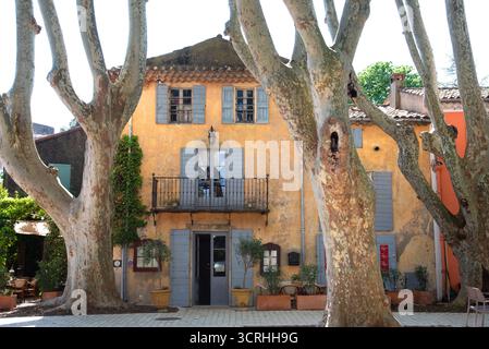 Vecchia casa gialla e alberi di aereo maturo intorno al Bassin de l'Etang, o laghetto del villaggio, Cucuron Vaucluse Luberon Provence Francia Foto Stock