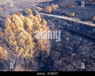 Il contrasto Stark tra una vita e una distruzione il concetto di dualità Foto Stock