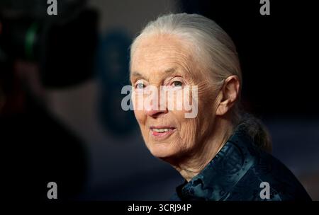Foto del file datata 18/02/18 di Dame Jane Goodall che ha partecipato agli EE British Academy Film Awards tenuti alla Royal Albert Hall di Londra. La conservazionista britannica ed esperta di scimpanzé Dame Jane Goodall è morta all'età di 91 anni, ha detto il Jane Goodall Institute. Data foto: Mercoledì 1 ottobre 2025. Foto Stock