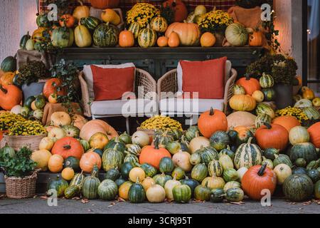 Abbondante esposizione autunnale con zucche, buongustai e fiori di stagione disposti intorno a comode sedie da patio in un ambiente autunnale festoso Foto Stock