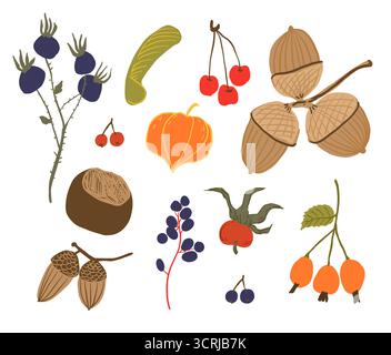 Set di tesori d'autunno disegnati a mano. Raccolta di rami forestali autunnali, ghiande, bacche, acer e castagne isolati su sfondo bianco. Set di autunno Illustrazione Vettoriale