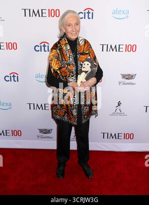 New York, Stati Uniti. 1 ottobre 2025. Jane Goodall, famosa primatologa e conservazionista, è morta all'età di 91 anni il 1° ottobre 2025 per cause naturali mentre era in California in un tour parlante degli Stati Uniti.------------------------------------------------ Jane Goodall presente al TIME 100 Gala 2019 tenutosi al Lincoln Center il 23 aprile 2019 a New York City, NY © Steven Bergman/AFF-USA.COM Credit: AFF/Alamy Live News Foto Stock