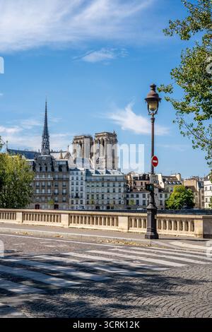 Vista del lampione e della Cattedrale di Notre Dame nel retro visto dal Pont Louis Philippe, il famoso ponte di Parigi sul fiume Senna, Parigi, Francia Foto Stock