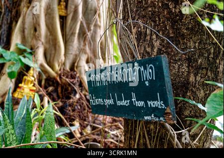 Le azioni delle scritture bhuddiste parlano più forte delle parole al tempio Wat Jetlin di Chiang mai in Thailandia Foto Stock
