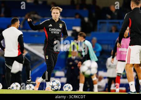 Andreas Schjelderup visto durante la partita di Champions League tra Chelsea FC e SL Benfica (Maciej Rogowski/Ball Raw Images) Foto Stock