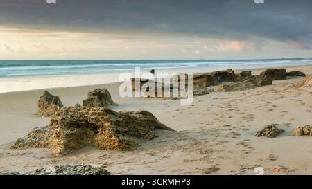 Primo piano di grandi formazioni rocciose sparse sulla sabbia, risultanti dall'erosione delle scogliere Roche sulla costa di Conil de la Frontera, Cadice. Foto Stock