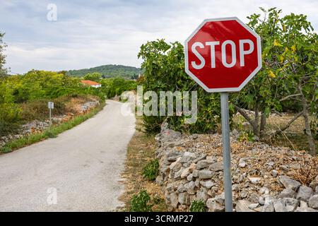 Un segnale di stop rosso si trova accanto a una stretta strada di campagna, delimitata da un muro di pietra e da alberi. La tranquilla scena rurale evoca sicurezza, cautela e simplici Foto Stock