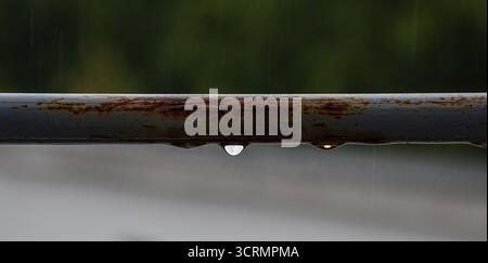 Vista dettagliata delle gocce di pioggia su una barra metallica grigia resistente agli agenti atmosferici, ringhiera della terrazza, con uno sfondo delicatamente sfocato. Foto Stock