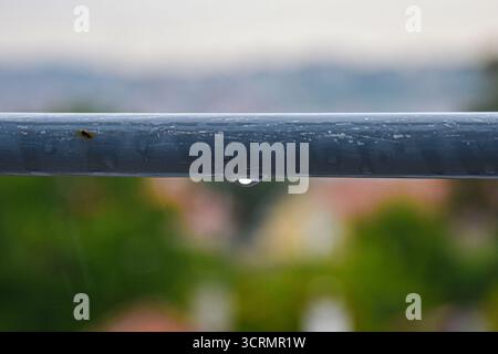 Un bar con ringhiere sulla terrazza bagnato e resistente agli agenti atmosferici, perfettamente a fuoco con gocce di pioggia aggrappate e uno sfondo leggermente sfocato. Foto Stock