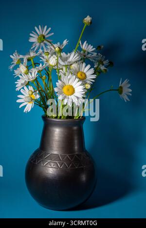 Bouquet di margherite in vaso su sfondo blu. Messa a fuoco selettiva. Foto Stock