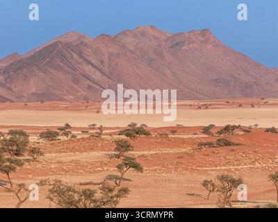 La suggestiva catena montuosa rocciosa si erge su una pianura desertica rossa con alberi di acacia sparsi e letto di fiume asciutto, riserva naturale del NamibRand, Namibia. Foto Stock