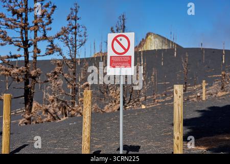 La Palma Tajogaite-Vulkan Tajogaite-Vulkan auf la Palma. Der Tajogaite-Vulkan entstand durch einen fast dreimonatigen Vulkanausbruch von September bis Dezember 2021. Durch den Vulkanausbruch wurde eine grosse Zahl von Haeusern in Doerfern und Siedlungen der Gemeinden El Paso, Los Llanos de Aridane und Tazacorte zerstoert und weite Teile landwirtschaftlich genutzter Flaeche mit Lava und Asche bedeckt. Mittlerweile Darf in einem Teil der Gegend um den Vulkan in Begleitung von orts- und fachkundiger Leitung wieder gewandert werden, Wenn Die Gaskonzentration in der Gegend gering ist. Bild IM: Hinw Foto Stock