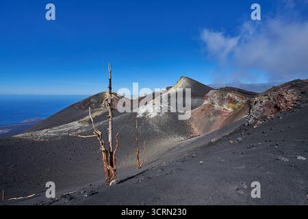 La Palma Tajogaite-Vulkan Tajogaite-Vulkan auf la Palma. Der Tajogaite-Vulkan entstand durch einen fast dreimonatigen Vulkanausbruch von September bis Dezember 2021. Durch den Vulkanausbruch wurde eine grosse Zahl von Haeusern in Doerfern und Siedlungen der Gemeinden El Paso, Los Llanos de Aridane und Tazacorte zerstoert und weite Teile landwirtschaftlich genutzter Flaeche mit Lava und Asche bedeckt. Mittlerweile Darf in einem Teil der Gegend um den Vulkan in Begleitung von orts- und fachkundiger Leitung wieder gewandert werden, Wenn Die Gaskonzentration in der Gegend gering ist. Bild IM: Schw Foto Stock