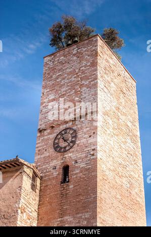 Vista pittoresca di Spello, una città medievale dell'Umbria vicino a Perugia, in Italia, famosa per la sua architettura storica, i vicoli stretti, le case in pietra e i mestieri Foto Stock