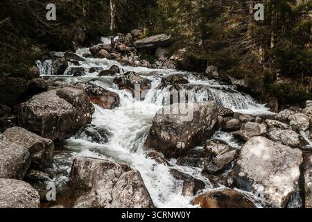 Ruscello panoramico di montagna che scorre attraverso il paesaggio roccioso della foresta Foto Stock