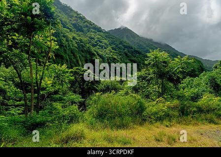 All'interno di un vulcano Tahitiano estinto Foto Stock