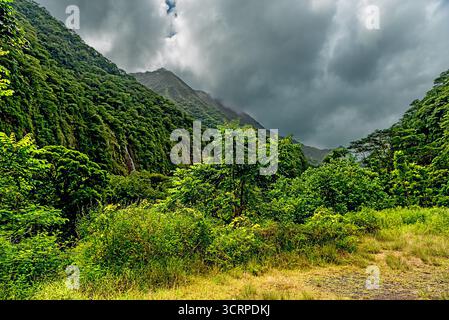 All'interno di un vulcano Tahitiano estinto Foto Stock