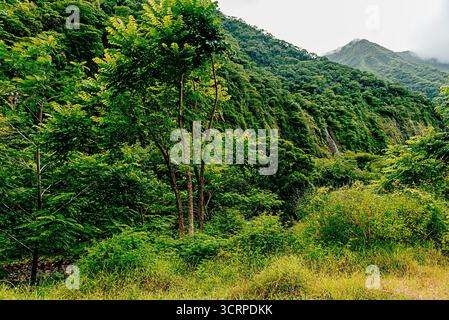 All'interno di un vulcano Tahitiano estinto Foto Stock