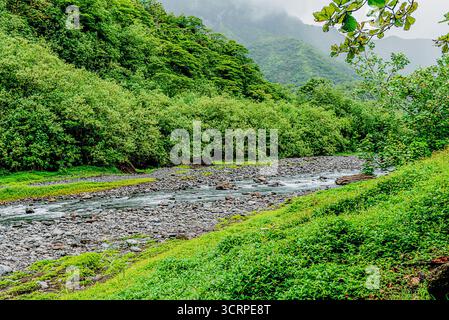 All'interno di un vulcano Tahitiano estinto Foto Stock