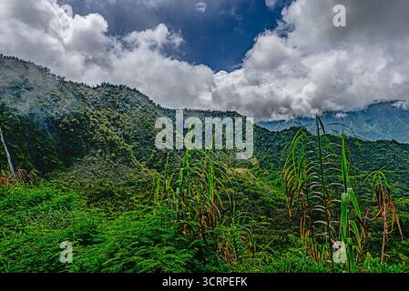 All'interno di un vulcano Tahitiano estinto Foto Stock