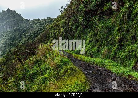 All'interno di un vulcano Tahitiano estinto Foto Stock