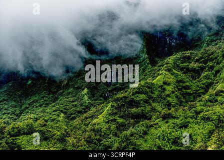 All'interno di un vulcano Tahitiano estinto Foto Stock