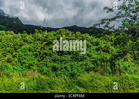 All'interno di un vulcano Tahitiano estinto Foto Stock