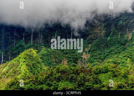 All'interno di un vulcano Tahitiano estinto Foto Stock