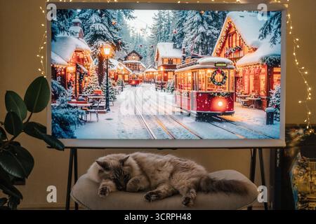 Ambiente domestico accogliente con un gatto soffice che riposa di fronte a uno schermo festivo che mostra una città di Natale innevata con un tram decorato e luci natalizie. Foto Stock
