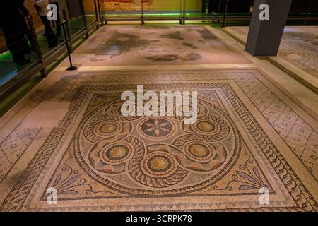 Vista interna del Museo del mosaico Zeugma con un mosaico. Gaziantep Turchia - 6.24.2025 Foto Stock