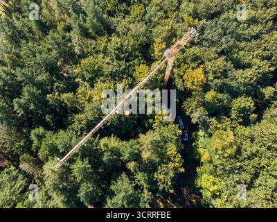 Demmin, Germania. 24 settembre 2025. Gli scienziati delle istituzioni del Meclemburgo-Pomerania occidentale, del Brandeburgo e di Berlino, tra gli altri, stanno monitorando lo sviluppo degli alberi in una foresta vicino a Demmin utilizzando numerosi strumenti di misura dalla radice alla corona (immagine scattata con un drone). Nel mezzo della foresta viene utilizzata anche una gru girevole alta 45 metri. Consente al team di lavorare sulle corone degli alberi. Crediti: Stefan Sauer/dpa/Alamy Live News Foto Stock