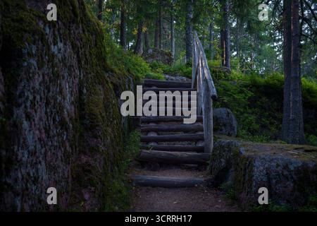 Scala in legno con semplice ringhiera in legno che sale attraverso una tranquilla pineta, circondata da rocce coperte di muschio e alberi con la luce soffusa della sera Foto Stock