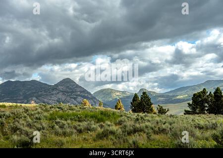 Rolling Hills of Hellroaring nel parco nazionale di Yellowstone Foto Stock