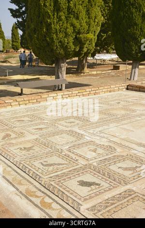La Casa degli uccelli della città romana di Italica, situata nella città di Santiponce nella provincia di Siviglia, Andalusia, Spagna. Foto Stock