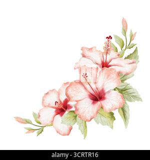 Fiori tropicali e boccioli ad acquerello, illustrazione ad angolo isolata su bianco. Realistica pianta estiva di ibisco con foglie in rosso verde botanico Foto Stock