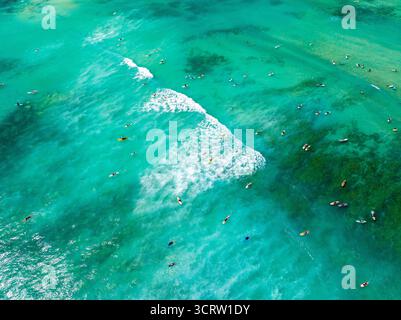Vista aerea dei surfisti che punteggiano le vibranti acque turchesi, cavalcando le onde bianche con creste sotto il sole hawaiano, uno spettacolo incredibile di vita oceanica. Waikiki, Honolulu, Hawaii, Stati Uniti. Foto Stock