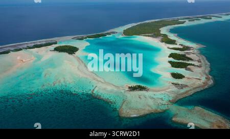Vista aerea delle acque turchesi che abbracciano le coste sabbiose e le vivaci isole verdi, creando un incredibile contrasto di colori e texture, Rangiroa, Isole Tuamotu, Polinesia francese. Foto Stock