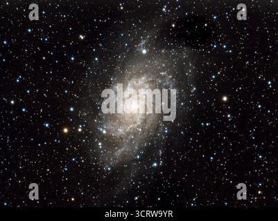 Astrofotografie der Spiralgalaxie Messier 33, auch bekannt als Dreiecksnebel oder Triangulumgalaxie. Die Aufnahme zeigt die details reichen Strukturen dieser Nachbargalaxie unserer Milchstraße im Sternbild Dreieck am nördlichen Nachthimmel. M33 gehört zur Lokalen Gruppe und ist nach dem Andromedanebel die zweithellste Spiralgalaxie am Himmel. Sichtbar sind zahlreiche Sterne, interstellare Materie und leuchtende Nebelregionen im Kosmos. Dreiecksnebel M33 *** astrofotografia della galassia a spirale Messier 33, nota anche come Nebula triangolare o Galassia Triangulum l'immagine mostra lo stru dettagliato Foto Stock