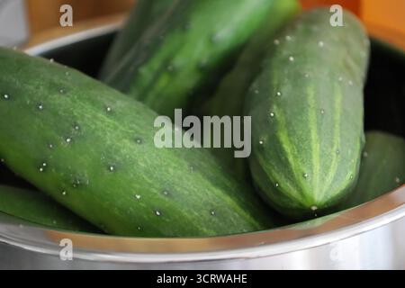 Primo piano di cetrioli freschi in ciotola in acciaio inox Foto Stock