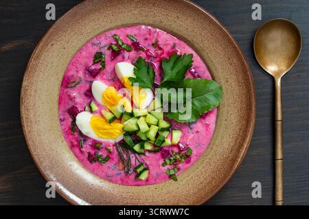 Zuppa di barbabietole fredda, cibo tradizionale ucraino a base di barbabietole, cetrioli, ravanelli, uova sode e panna acida. Deliziosa zuppa di barbabietole estive Foto Stock