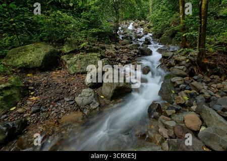 Vista dell'acqua che precipita sulle rocce muschiate in una lussureggiante foresta verde, una vibrante dimostrazione della potenza e della serenità della natura, la cascata di Benowo, Ungaran, Giava centrale, Indonesia. Foto Stock
