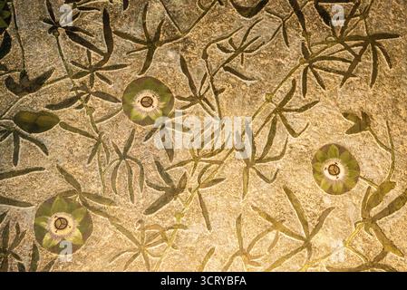 Barcellona, Spagna - 12 luglio 2025: La delicata decorazione degli interni di Casa Vicens a Barcellona in Spagna Foto Stock