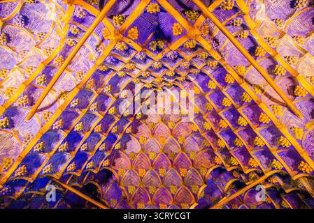 Barcellona, Spagna - 12 luglio 2025: La delicata decorazione degli interni di Casa Vicens a Barcellona in Spagna Foto Stock