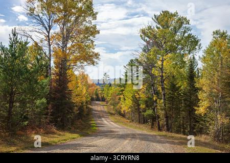 Gli alberi di colore autunnale lungo l'Arrowhead Trail nel Minnesota settentrionale in una brillante giornata autunnale Foto Stock