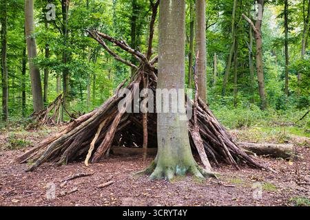 Rifugio in legno fatto di rami d'albero in una foresta verde rifugio di sopravvivenza Foto Stock