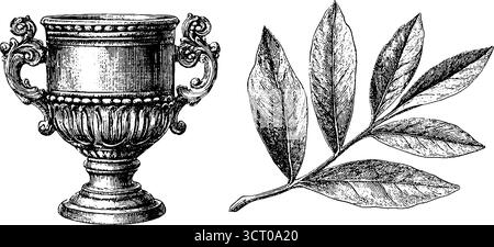 Set illustrativo vintage con incisioni di vaso krater e ramoscello d'oliva per un design retrò. Illustrazione Vettoriale