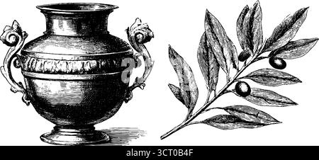 Set illustrativo vintage con incisioni di krater pot e foglie d'alloro per un arredamento classico. Illustrazione Vettoriale