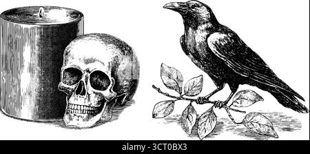 Set vintage inciso di corvo e teschio con candela per il design e la decorazione di halloween. Illustrazione Vettoriale